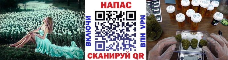 магазин    Сальск  Шишки марихуана индика 
